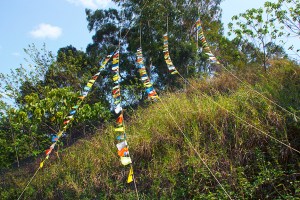 day 12_flags right side-small_1723 copy copy