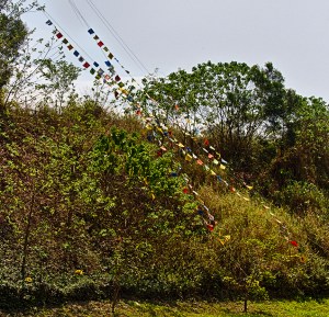Flags-day 12_flags right  side-small_1752_HDR