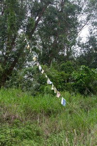 prayer flags may-1