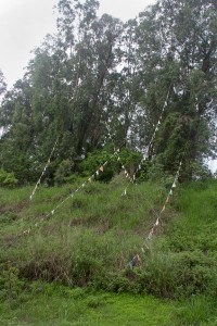 prayer flags may1