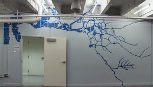 California-Delta-Rivers-at-Capital-One