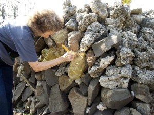 Jane Putting Handmade Paper on a Coral Wall to dry during Fulbright Residency in Penghu, Taiwan