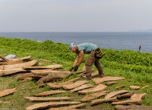 Chris arranging driftwood-1