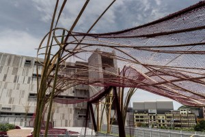 Yi chun's artwork 5-30-1