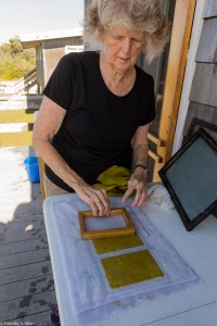 Jane making Phragmites paper samples.