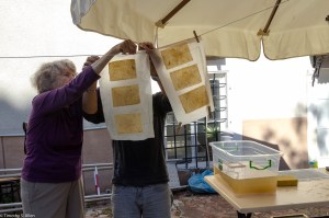 HANGING PAPER SAMPLES TO DRY_MG_8323