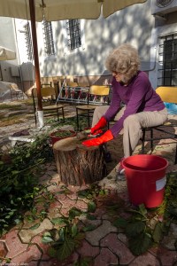 JANE BEATING PULP_MG_8203