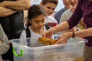 JANE DEMO FOR KIDS CLOSE_MG_8289