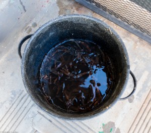 cedar bark cooking IMG_2898