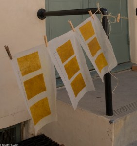 Air drying fan palm paper samples