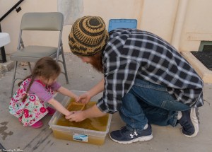 Forming a sheet of fan palm paper