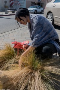 Participant gathering Needle grass to make paper on 2/20