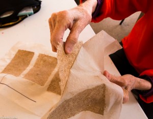 Taking off dried samples of Joshua tree paper