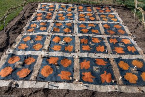 lancaster eco quilt installed closer IMG_5573