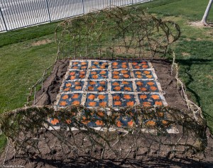 lancaster eco quilt installed IMG_5555