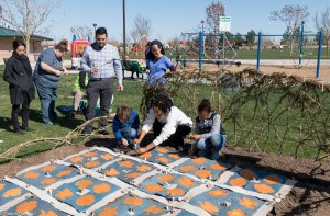 lancaster eco-quilt installers IMG_5503