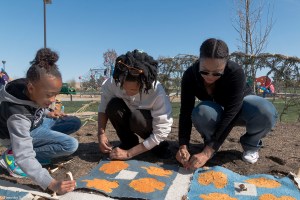 lancaster eco quilt installing 4IMG_5446