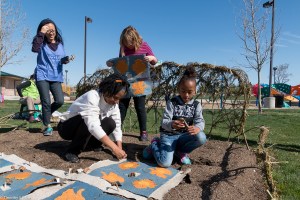 lancaster eco-quilt installing 5 IMG_5475