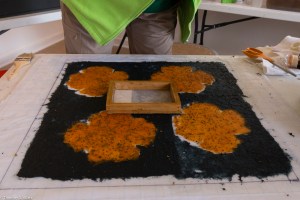 square with white in middle IMG_3303