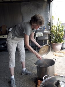 Jane Ingram Allen cooking plant fibers