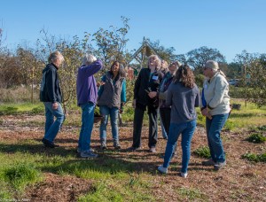 group-looking-at-plants-palm-trees-img_7786