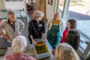 jane-demos-sheet-forming-with-sample-mould-img_7898