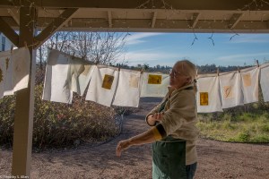 looking-at-handmade-paper-drying-outside-img_7921