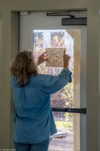 looking-at-handmade-paper-with-light-coming-through-img_8124