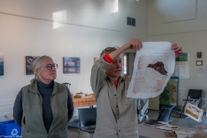 looking-at-paper-with-palm-bark-in-it-img_8144