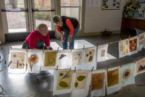 looking-at-the-drying-sheet-of-handmade-paper-img_8030