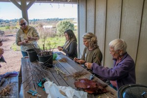 taking-off-dogbane-bark-img_7819