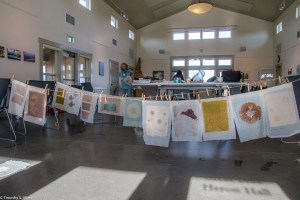 view-of-room-with-many-sheets-of-paper-drying-on-lines-img_8016