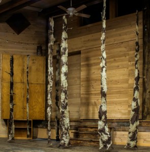 allen_janeingram_sitka-spruce-forest-2014